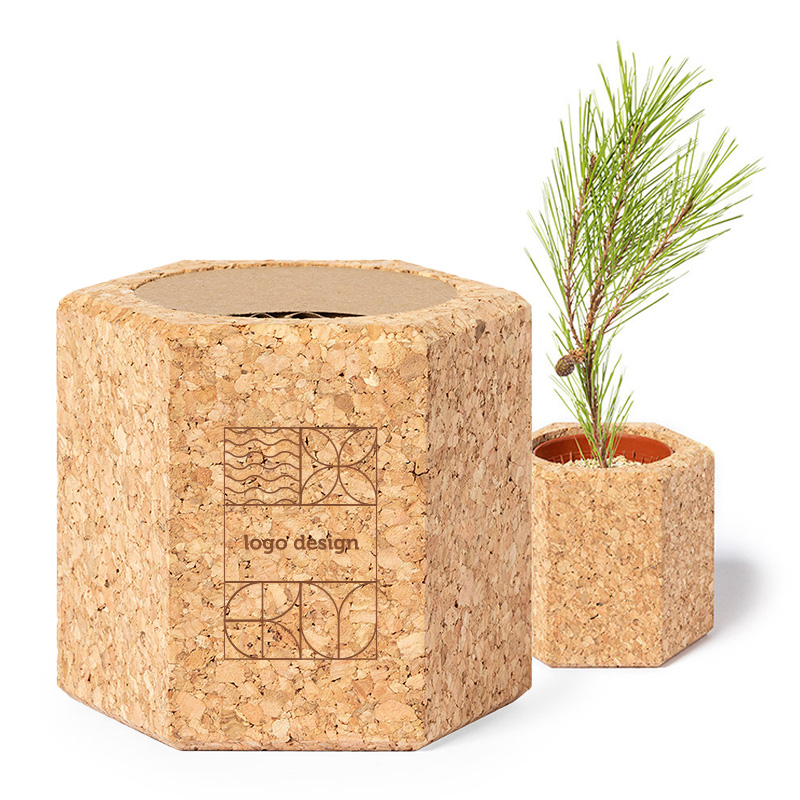 Kork Blumentopf mit Samen